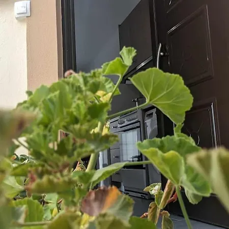 Apartment Skordalos Mezoneta
